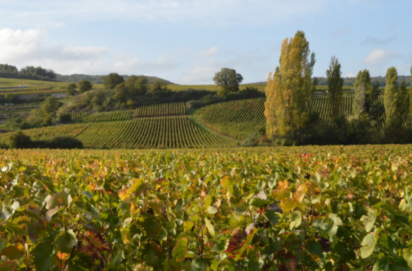 良い土地 と巡り合うための鉄則 ラフェルム札幌 札幌市の注文住宅 アンティークでおしゃれな家づくり